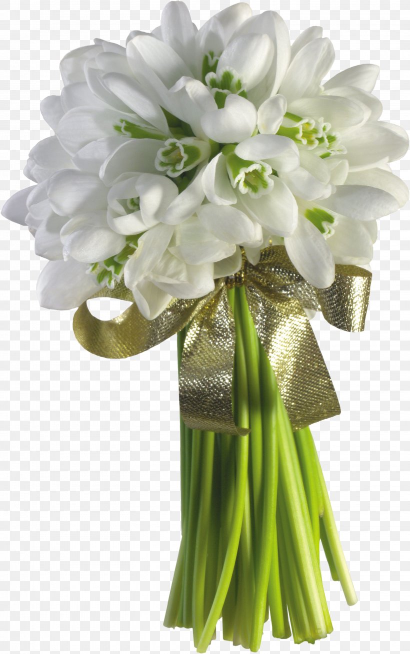 Snowdrop Flower Bouquet Tulip Garden Roses, PNG, 3115x4965px, Snowdrop, Chrysanthemum, Cut Flowers, Floral Design, Florist Download Free