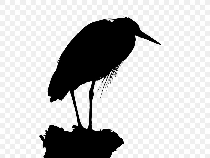 Stork Bird Crane Beak Fauna, PNG, 1280x960px, Stork, Beak, Bird, Ciconiiformes, Crane Download Free