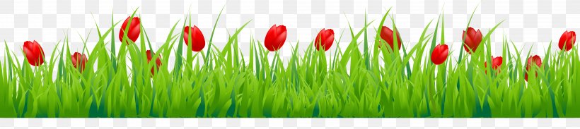 Tulip Flower Stock Photography Clip Art, PNG, 4197x939px, Tulip, Close Up, Commodity, Depositphotos, Flower Download Free