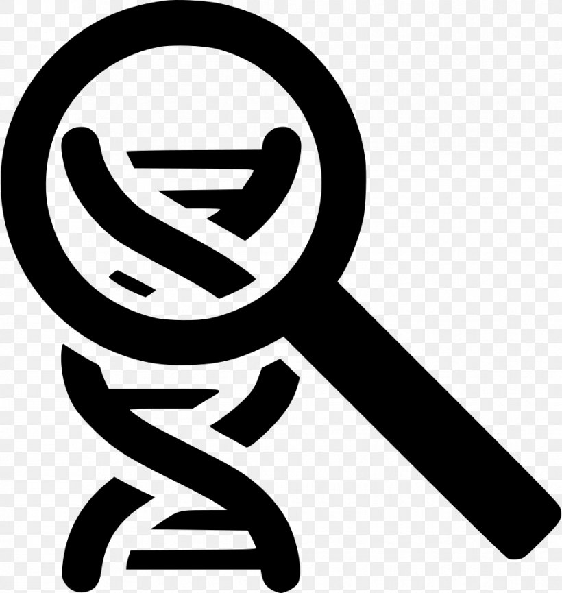 DNA Vector Genetics, PNG, 928x980px, Dna, Black And White, Chromosome, Color, Dna Replication Download Free