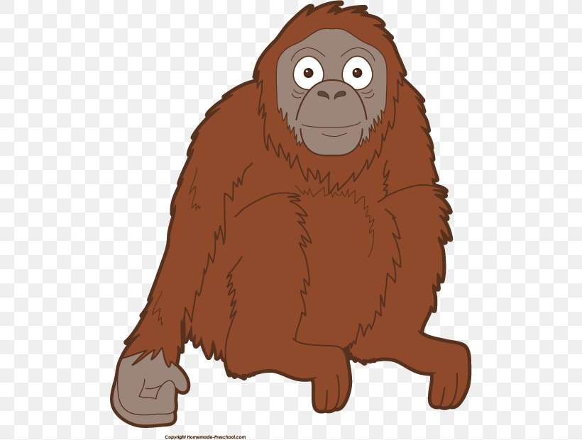 Gorilla Bornean Orangutan Orangutan Baby Primate Clip Art, PNG, 510x621px, Gorilla, Ape, Beak, Bear, Bornean Orangutan Download Free