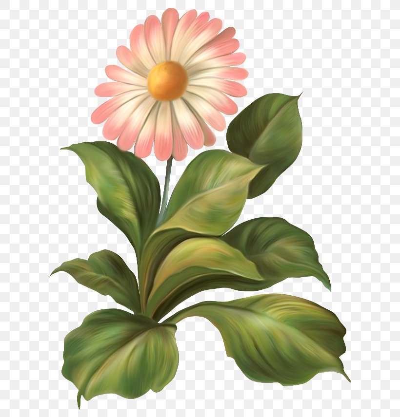 Flower Petal Nelumbo Nucifera, PNG, 650x856px, Flower, Common Daisy, Floral Design, Flowering Plant, Leaf Download Free