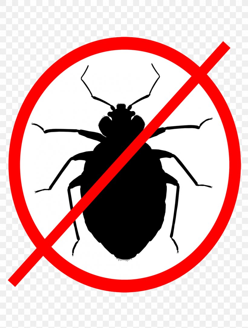 Insect Bed Bug Software Bug Pest Clip Art, PNG, 900x1190px, Insect, Area, Artwork, Bed Bug, Bed Bug Bite Download Free