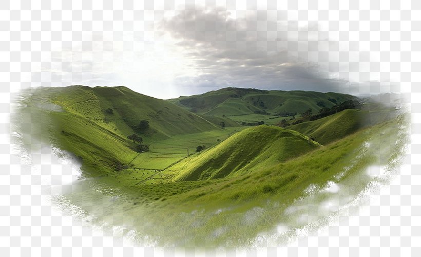 New Zealand Tassajara Hills Desktop Wallpaper Download Wallpaper, PNG, 800x500px, 4k Resolution, New Zealand, Client, Desktop Computers, Display Resolution Download Free