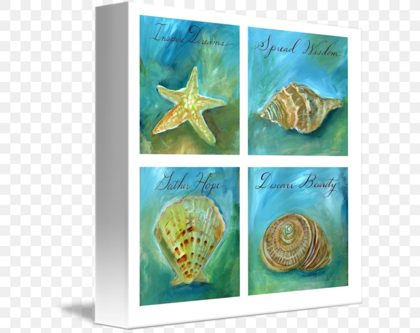 Seashell Marine Biology Fauna, PNG, 606x650px, Seashell, Biology, Fauna, Invertebrate, Marine Biology Download Free