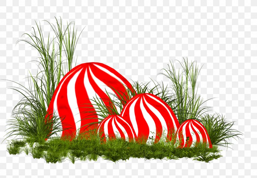 Alice's Adventures In Wonderland Christmas Ornament Illustration Russia Christmas Day, PNG, 1600x1109px, Christmas Ornament, Christmas, Christmas Day, Christmas Decoration, Grass Download Free
