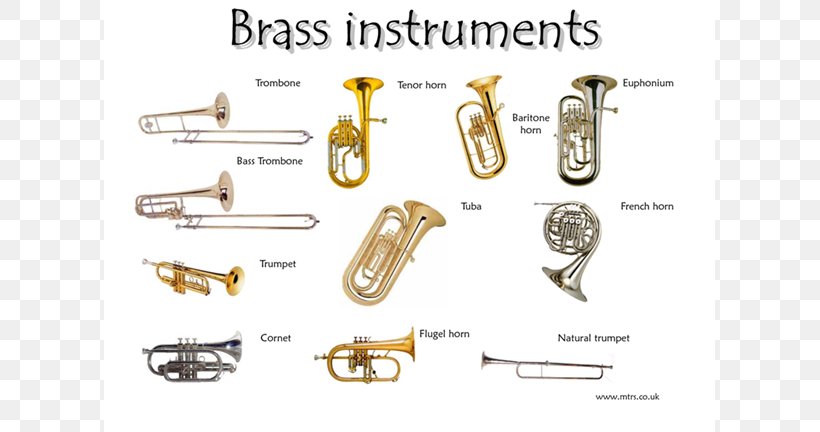 Brass Instruments Musical Instruments Family Trumpet Bugle, PNG, 768x432px, Watercolor, Cartoon, Flower, Frame, Heart Download Free