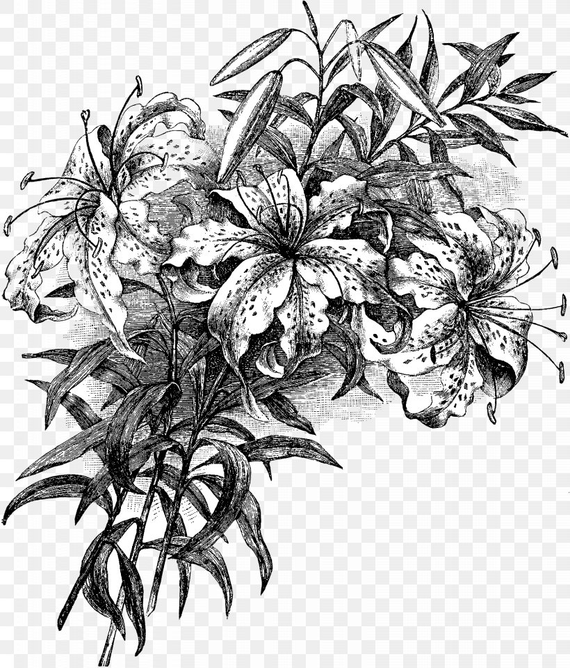 Floral Design Clip Art Drawing, PNG, 1536x1800px, Floral Design, Art, Artwork, Black And White, Drawing Download Free