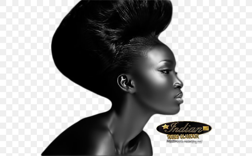 Long Hair Model Fashion Hairstyle Afro-textured Hair, PNG, 560x509px, Long Hair, Afro, Afrotextured Hair, Ataui Deng, Beauty Download Free