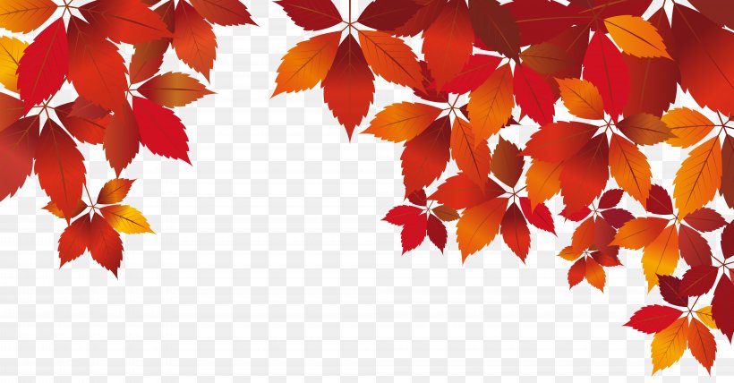 Red Autumn White, PNG, 8000x4183px, Rose, Art Museum, Autumn, Autumn Leaf Color, Blue Rose Download Free