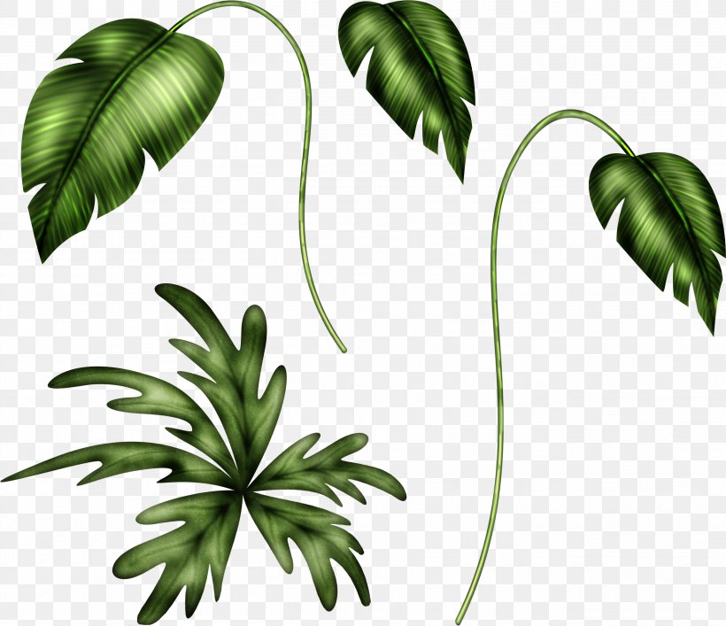 Branch Leaf Plant Stem Clip Art, PNG, 2614x2256px, Branch, Depositfiles, Flora, Flower, Flowering Plant Download Free