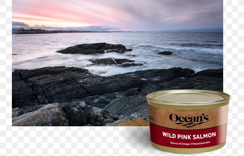Pink Salmon Can Sockeye Salmon Tuna Salad, PNG, 740x525px, Pink Salmon, Can, Fatty Acid, Juice, Nutrition Download Free