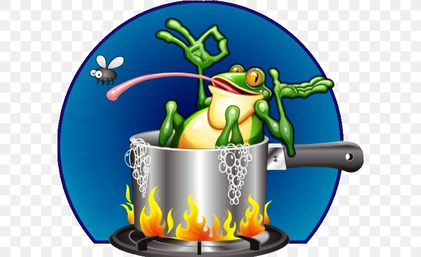 Boiling Frog Anecdote Idea The Fifth Discipline, PNG, 598x500px, Frog, Amphibian, Anecdote, Animal, Boiling Download Free