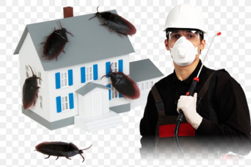Insecticide Cockroach Pest Control Pesticide, PNG, 948x632px, Insect, Ant, Bedbug, Biology, Business Download Free