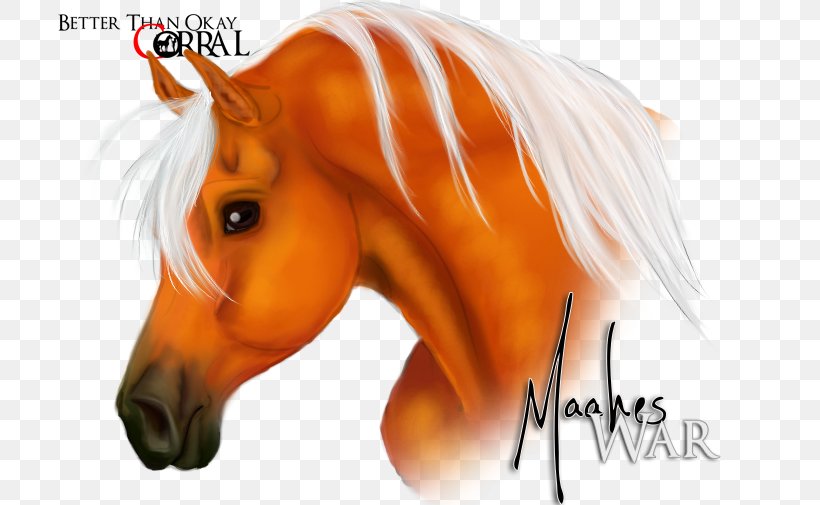 Mustang Stallion Halter Desktop Wallpaper Freikörperkultur, PNG, 743x505px, Mustang, Closeup, Computer, Halter, Horse Download Free