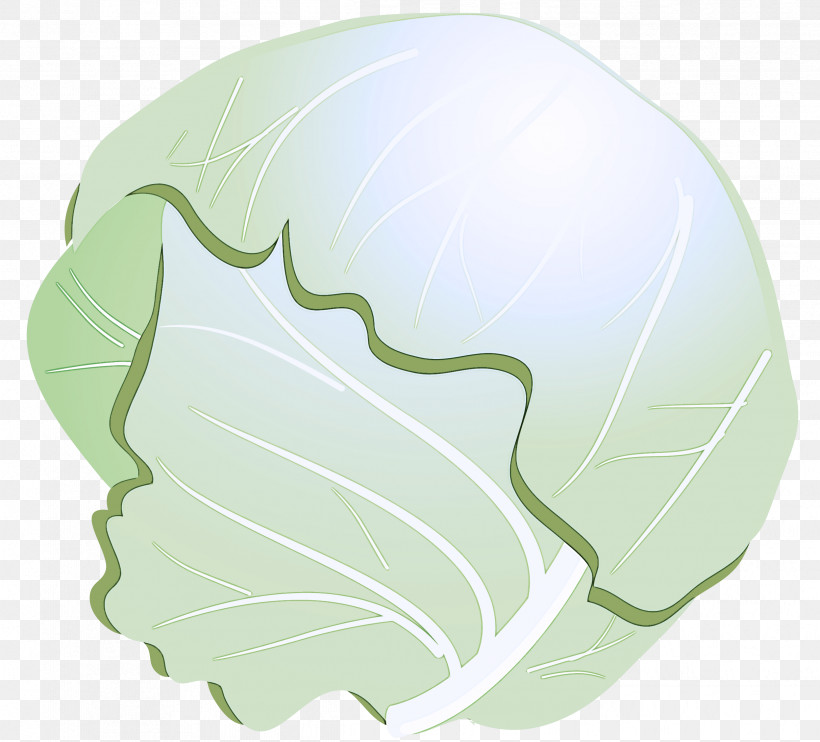 Cabbage Green Leaf Logo Plant, PNG, 2427x2197px, Cabbage, Green, Leaf, Logo, Plant Download Free