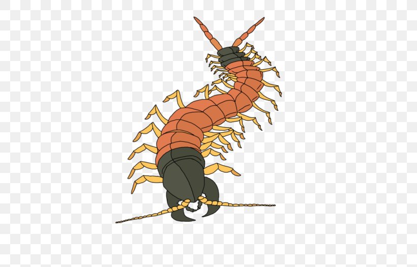 Centipedes Giant Desert Centipede Television Insect 0, PNG, 500x525px, 2018, Centipedes, Arthropod, Centipede, Centipede Bite Download Free