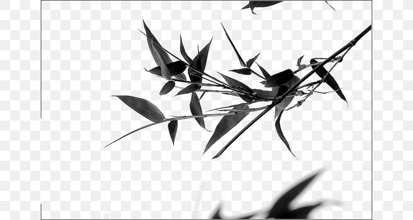 China Bamboo Ink Brush Photography, PNG, 658x438px, China, Bamboo, Black, Black And White, Chinese Painting Download Free