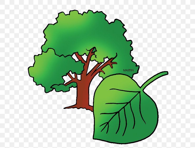 Cottonwood Plant Cell Populus Sect. Aigeiros Clip Art, PNG, 648x624px, Cottonwood, Arizona, Artwork, Fictional Character, Flora Download Free
