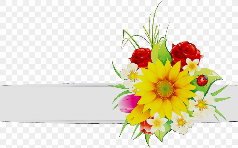 Cut Flowers Transvaal Daisy Floral Design Flower Bouquet, PNG, 7255x4522px, Flower, Artificial Flower, Barberton Daisy, Birthday, Bouquet Download Free