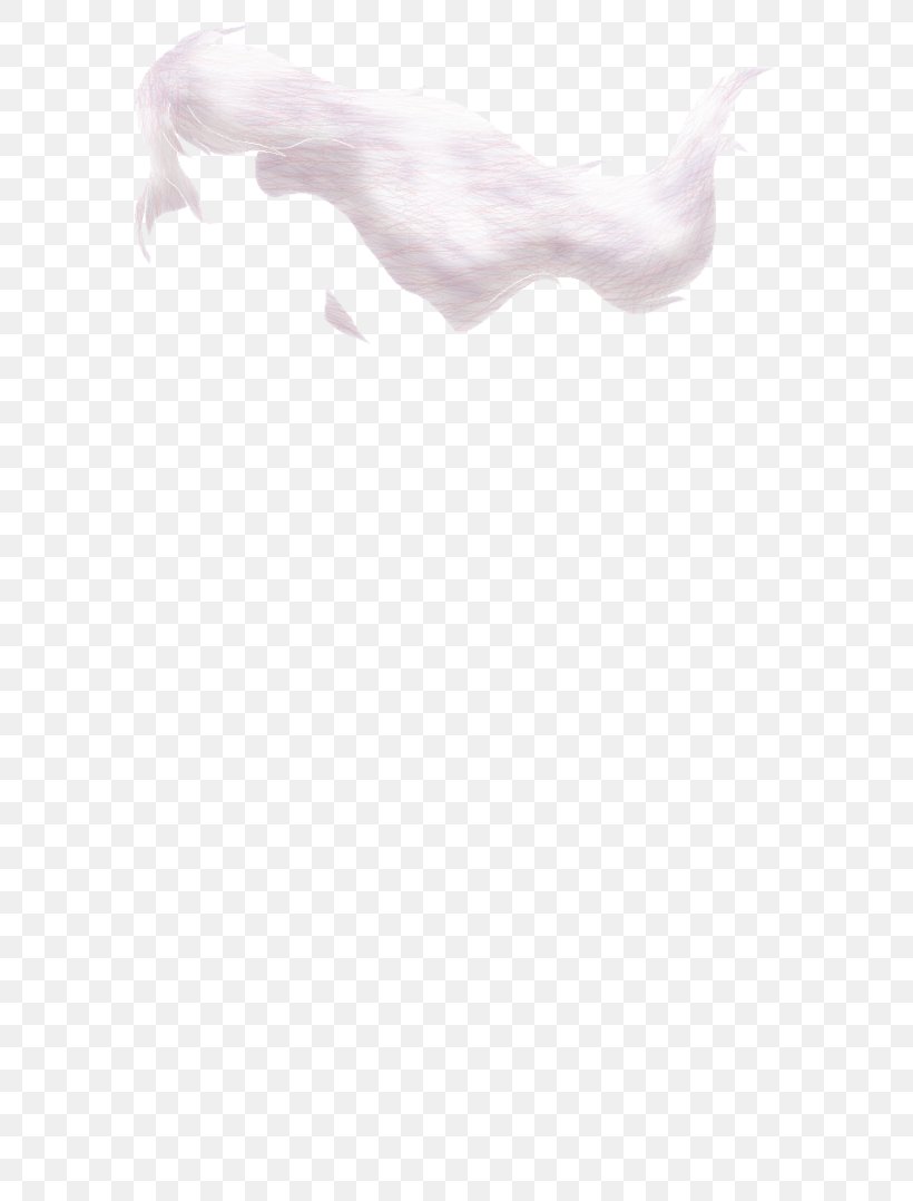 Dog White Canidae H&M Mammal, PNG, 741x1078px, Dog, Arm, Black And White, Canidae, Dog Like Mammal Download Free