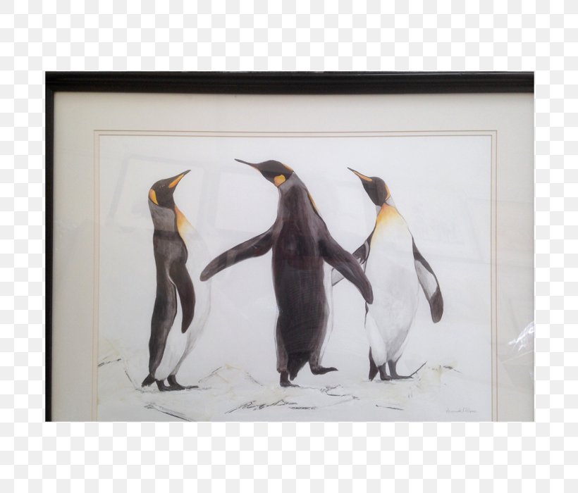 King Penguin Flightless Bird Beak, PNG, 700x700px, Penguin, Beak, Bird, Fauna, Flightless Bird Download Free