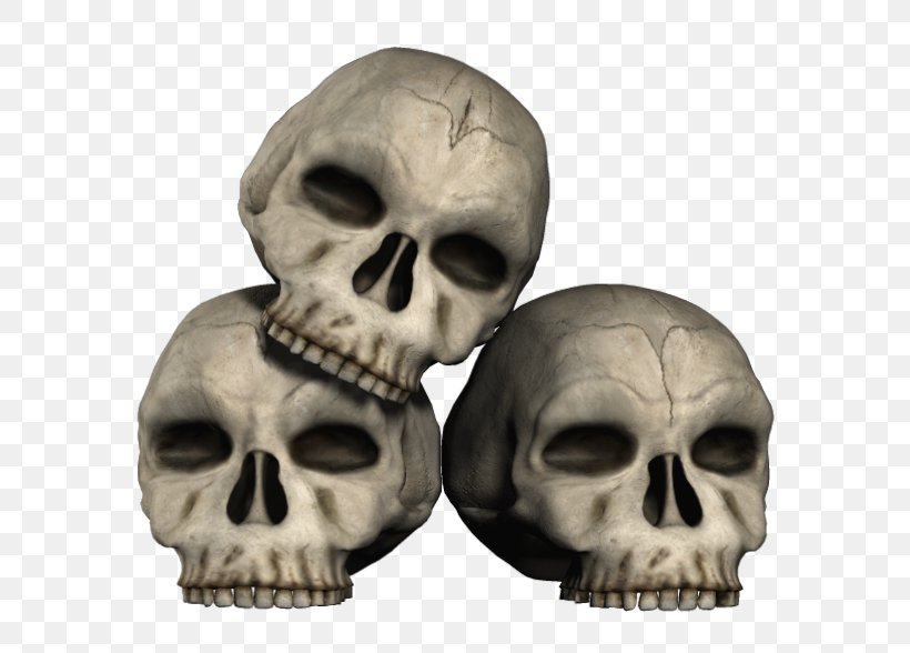 Skull Skeleton Clip Art, PNG, 630x588px, Skull, Bone, Drawing, Human Skeleton, Information Download Free