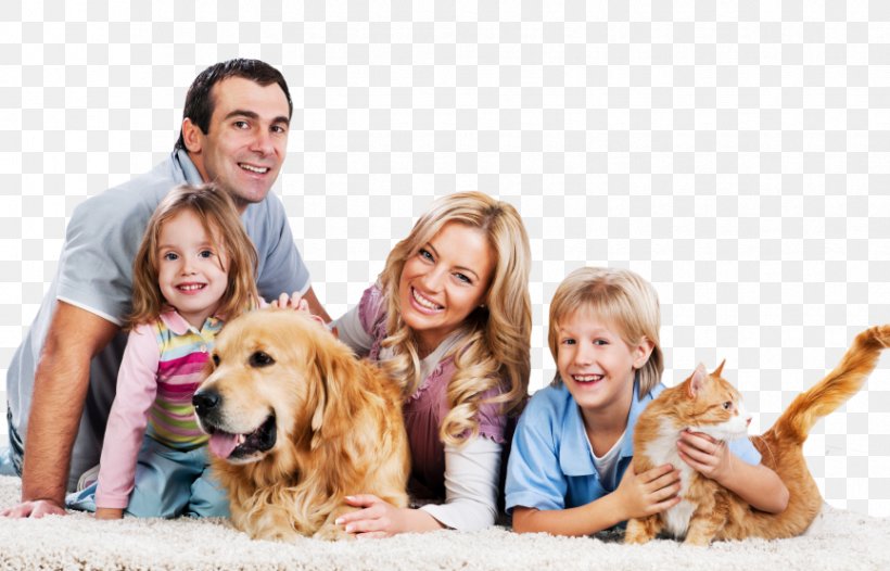 South Howard Animal Clinic Carpet Cleaning Family, PNG, 865x555px, Carpet Cleaning, Carnivoran, Carpet, Child, Cleaning Download Free