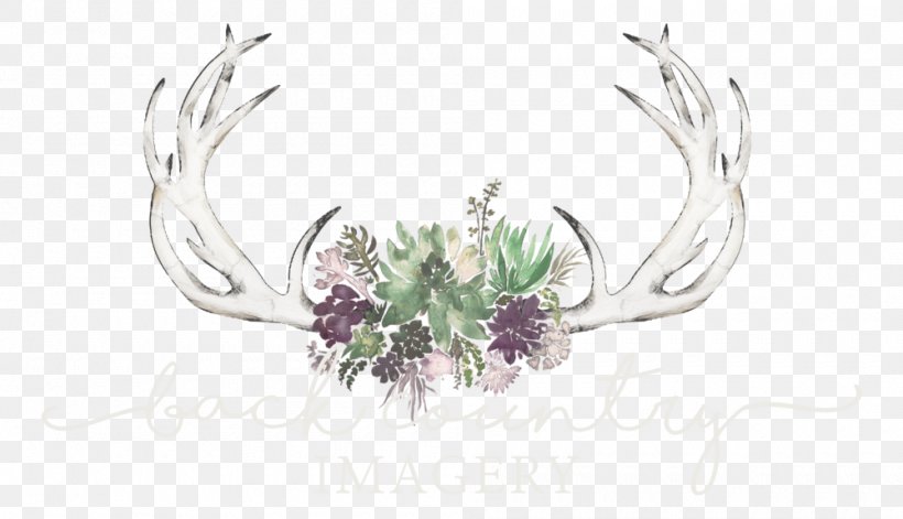 Back Country Imagery Seattle Vendor Flower, PNG, 1000x575px, Seattle, Body Jewellery, Body Jewelry, Character, Fashion Accessory Download Free