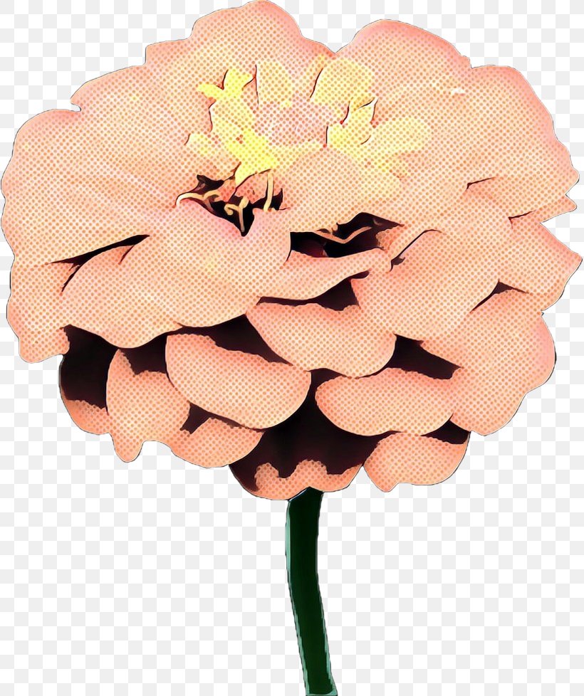 Cut Flowers Flower Bouquet Petal Flowering Plant, PNG, 817x978px, Cut Flowers, Artificial Flower, Blossom, Bouquet, Clothing Accessories Download Free