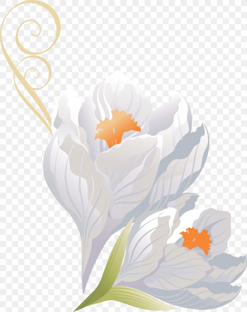 Flower PhotoScape, PNG, 941x1190px, Flower, Animation, Crocus, Floral Design, Floristry Download Free