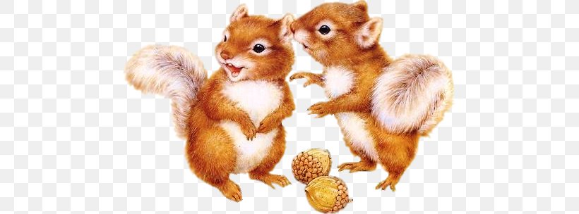 Flying Squirrel Animation Clip Art, PNG, 471x304px, Squirrel, Animal, Animation, Blog, Chipmunk Download Free