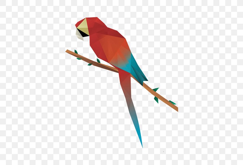 Hummingbird Parrot Polygon Geometry, PNG, 600x557px, Bird, Beak, Common Pet Parakeet, Drawing, Feather Download Free
