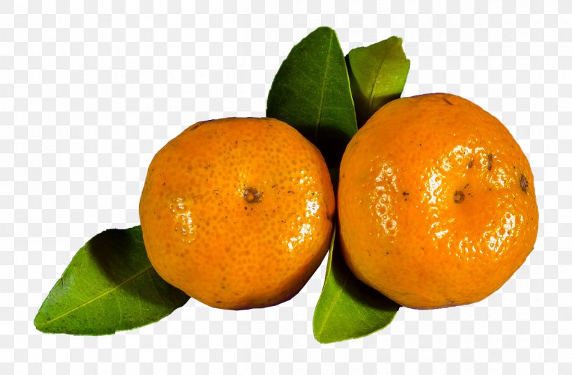 Orange Juice Clementine Blood Orange Mandarin Orange, PNG, 1200x788px, Orange Juice, Bitter Orange, Blood Orange, Calamondin, Chenpi Download Free