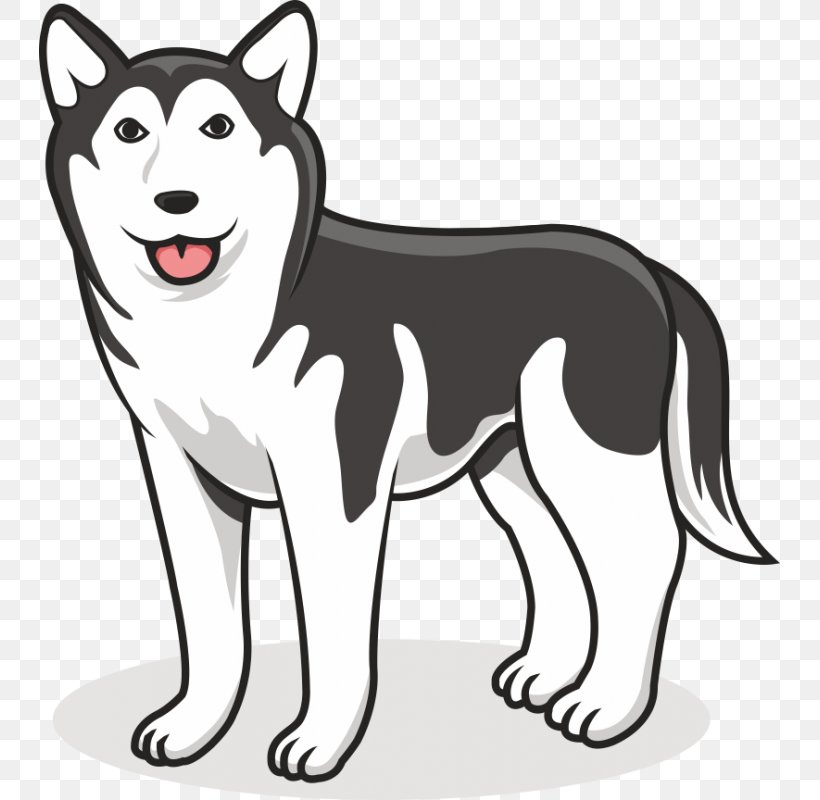 Siberian Husky Alaskan Klee Kai Puppy Border Collie Alaskan Malamute, PNG, 800x800px, Siberian Husky, Alaskan Husky, Alaskan Klee Kai, Alaskan Malamute, Animal Download Free