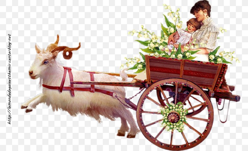 Bijou, PNG, 771x500px, Raster Graphics, Carriage, Cart, Cattle Like Mammal, Chariot Download Free