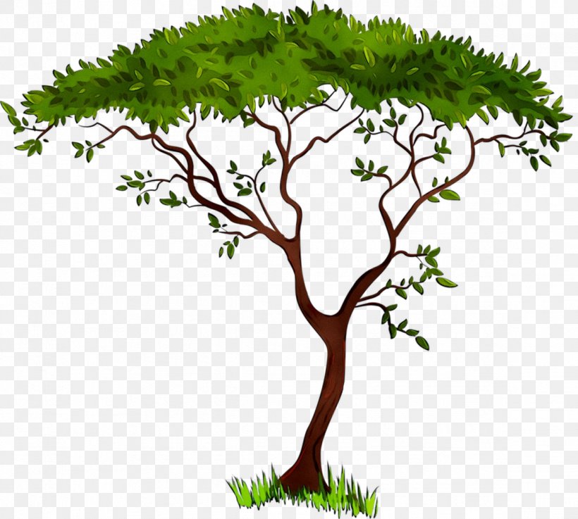 Clip Art Image Vector Graphics Tree, PNG, 1161x1044px, Tree, Arbor Day, Art, Botany, Branch Download Free