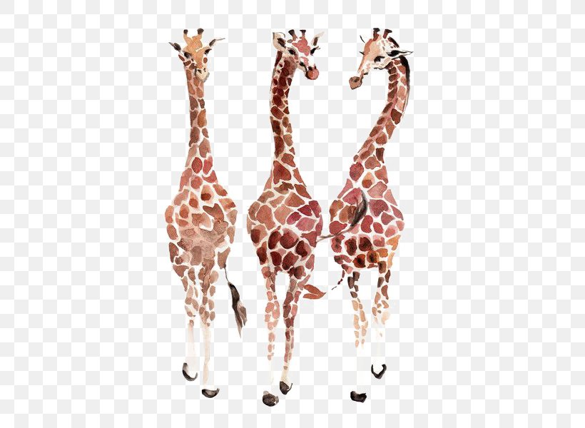 Etosha National Park Giraffe IPhone 6 Plus Lion IPhone 6S, PNG, 480x600px, Etosha National Park, Animal, Elephant, Fauna, Findsave Download Free