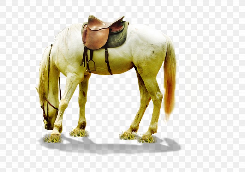 Horse Download, PNG, 5000x3500px, Horse, Bridle, Colt, Computer Graphics, Display Resolution Download Free