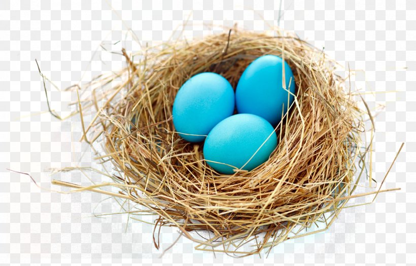 Nest Bird, PNG, 1250x801px, Bird, Bird Nest, Easter Egg, Egg, Nest Download Free