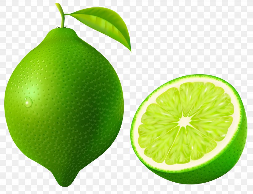 Persian Lime Lemon-lime Drink Key Lime, PNG, 5218x4015px, Key Lime Pie, Bitter Orange, Citric Acid, Citron, Citrus Download Free