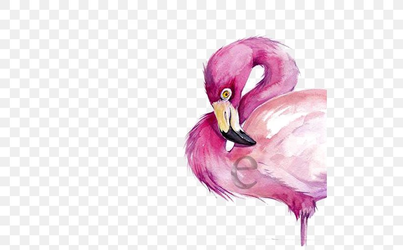Watercolor Painting Flamingo Drawing, PNG, 510x510px, Watercolor Painting, Art, Beak, Bird, Cartoon Download Free