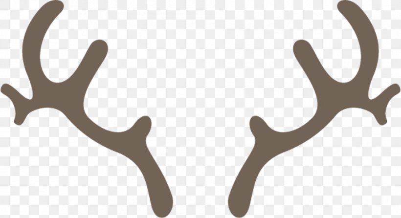 Antler Finger Deer, PNG, 903x492px, Antler, Deer, Finger Download Free