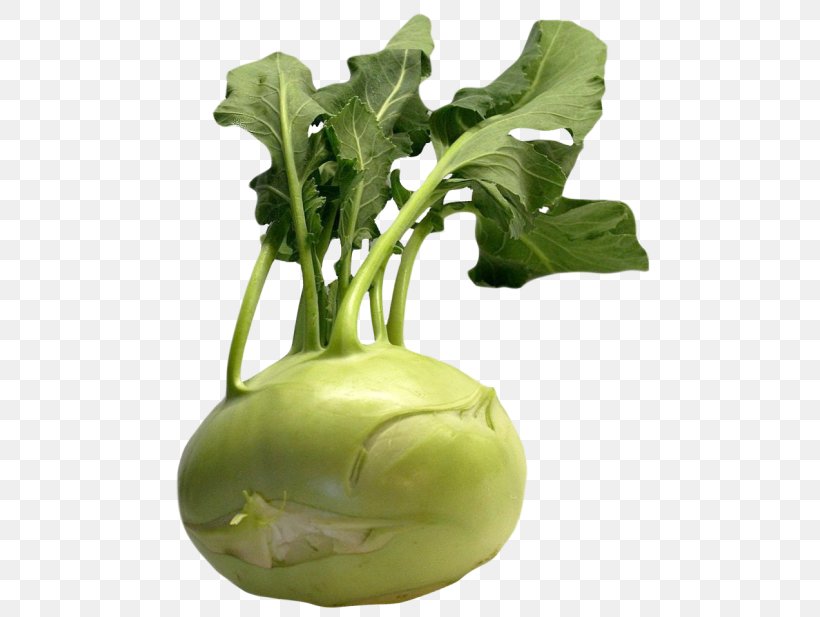 Collard Greens Kohlrabi Cauliflower Vegetable, PNG, 500x617px, Collard Greens, Brassica Oleracea, Cabbage, Cauliflower, Chard Download Free