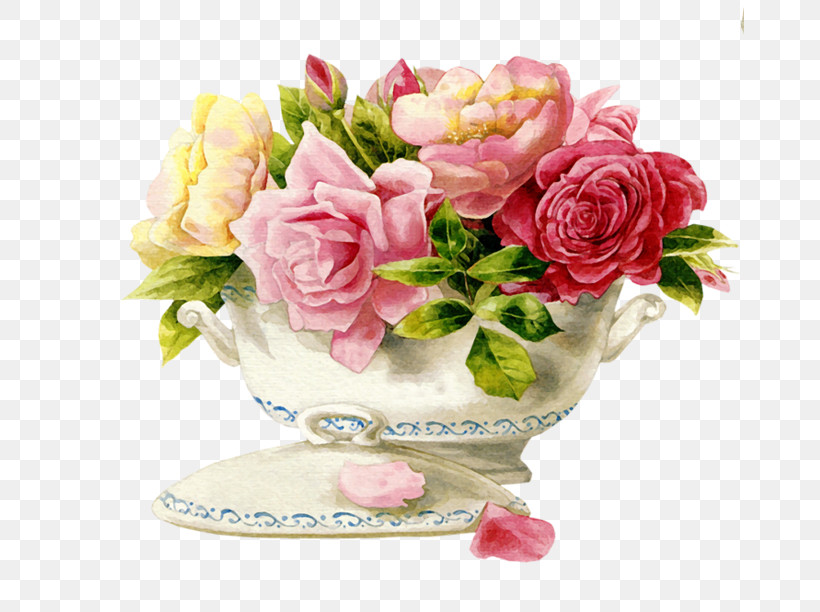 Garden Roses, PNG, 669x612px, Rose, Antique, Blog, Floral Design, Flower Download Free
