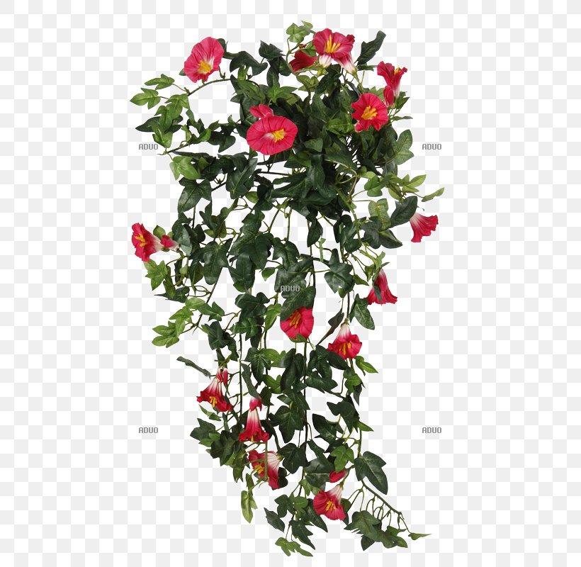 Garden Roses Cut Flowers Plant Vine, PNG, 800x800px, Garden Roses, Annual Plant, Artificial Flower, Blume, Christmas Download Free