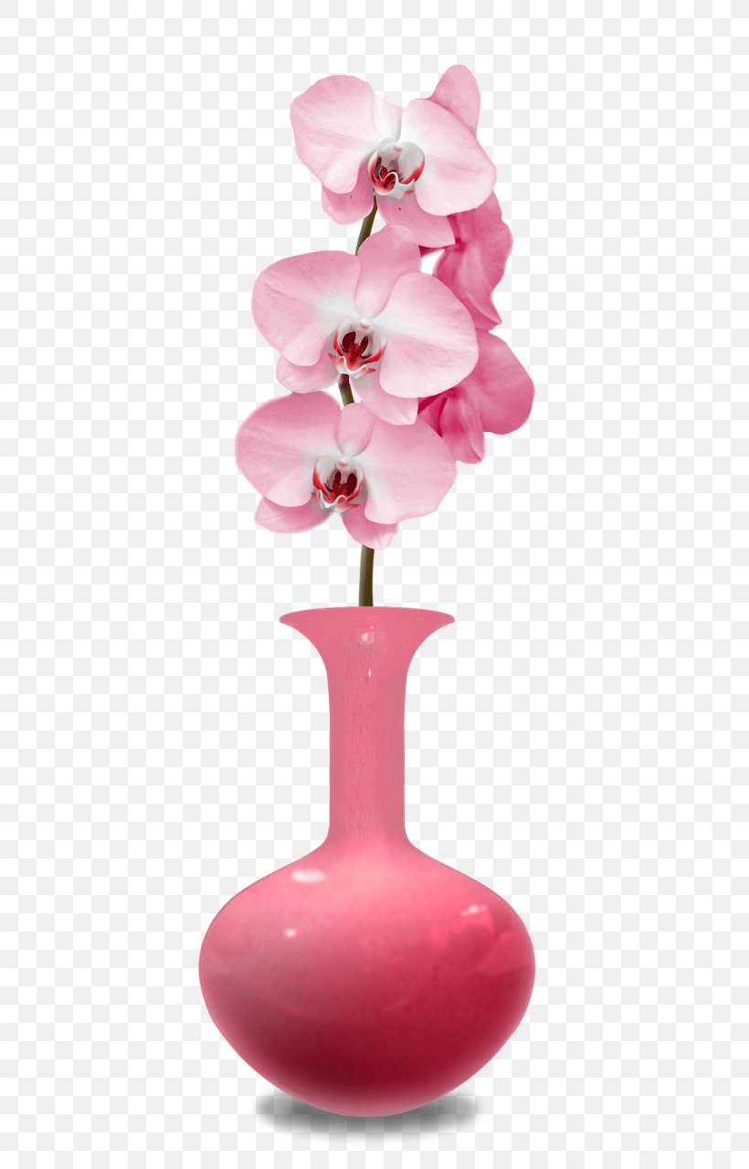 Vase Image File Formats Rose, PNG, 747x1280px, Vase, Cut Flowers, Data, Data Compression, Flower Download Free