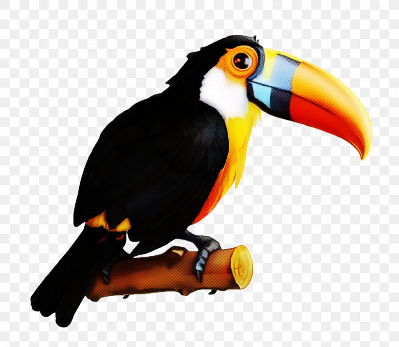 Bird Toucan Beak Piciformes Hornbill, PNG, 1000x869px, Bird, Beak, Hornbill, Piciformes, Toucan Download Free