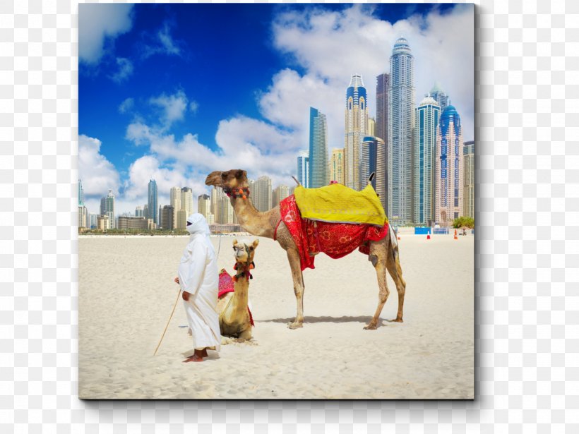 Dubai Abu Dhabi Package Tour Hotel Beach, PNG, 1400x1050px, Dubai, Abu Dhabi, Accommodation, Arabian Camel, Beach Download Free
