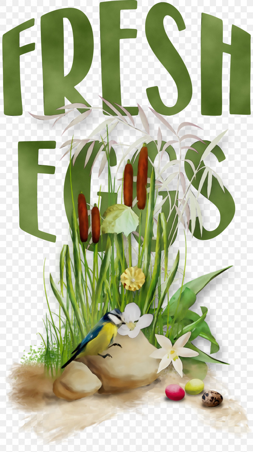 Floral Design, PNG, 1681x3000px, Fresh Eggs, Biology, Cut Flowers, Flora, Floral Design Download Free